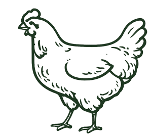 Country Chicken